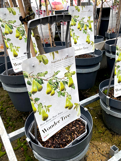 de-moesuitn-tuingroen-stadskanaal-kas-12