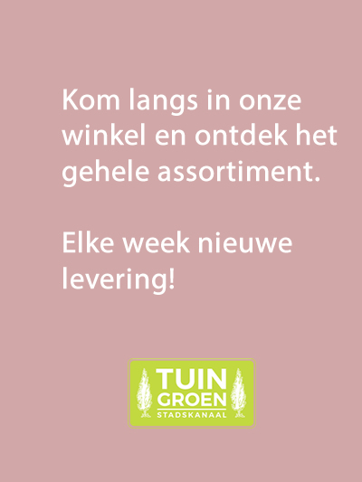 eind-blok-tuingroen-stadskanaal-2021