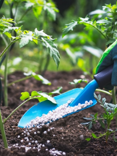 grond-en-meststoffen-tuingroen-stadskanaal-1