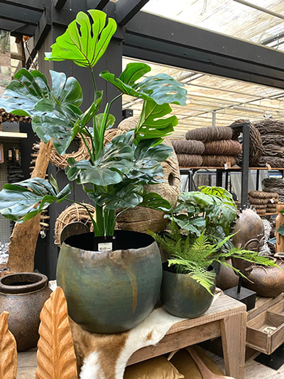 kunst-planten-tuingroen-stadskanaal-2