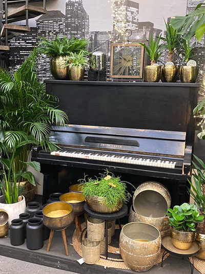 wonen-en-sfeer-tuingroen-stadskanaal-tuinccentrum-noorden-5