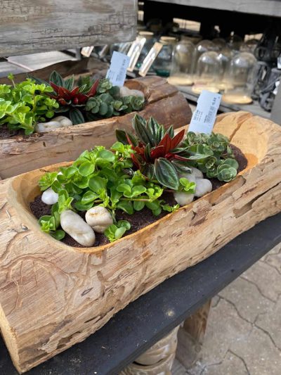 araangementen-tuingroen-stadskanaal-tuincetrum-12