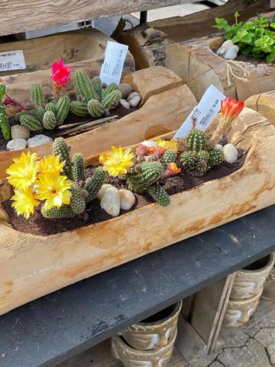 arrangementen-tuingroen-stadskanaal-tuincetrum-10