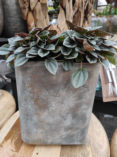 bloempotten-stadskanaal-tuinccentrum-noorden-11