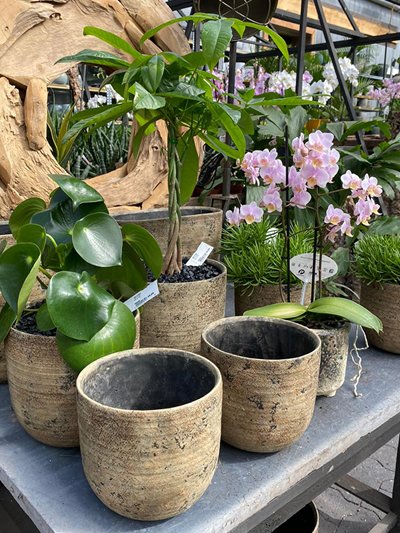 bloempotten-stadskanaal-tuinccentrum-noorden-13