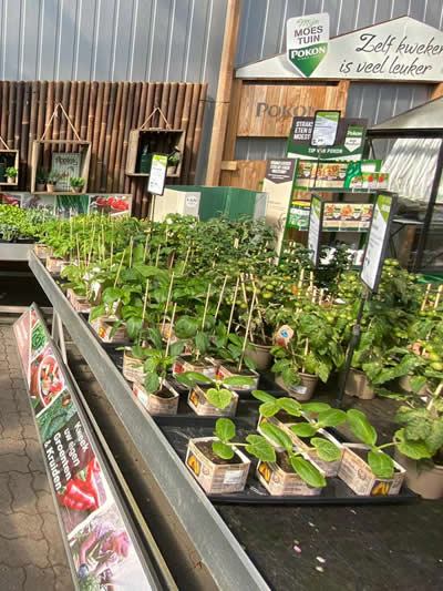 moestuin--tuingroen-stadskanaal-tuincentrum-3