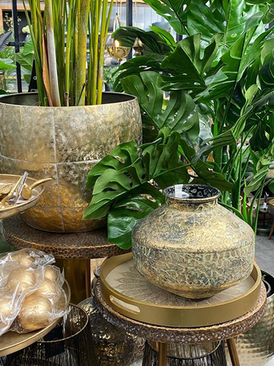 sfeer-huis-tuingroen-stadskanaal-tuinccentrum-noorden-13