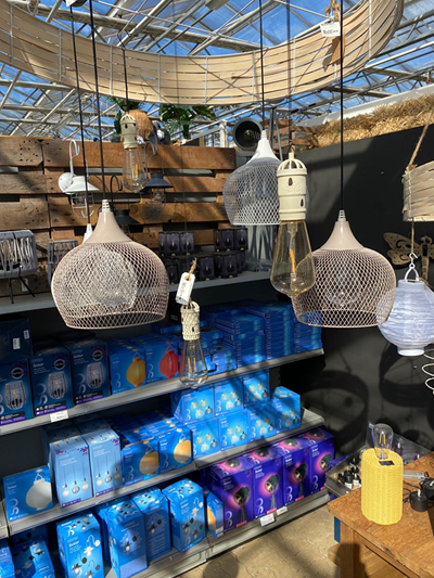 tuinverlichting--tuingroen-stadskanaal-tuinccentrum-noorden-5