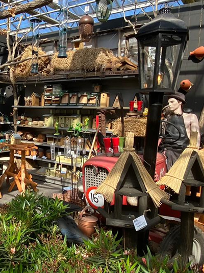 vogels-in-tuin-tuingroen-stadskanaal-tuinccentrum-noorden-12