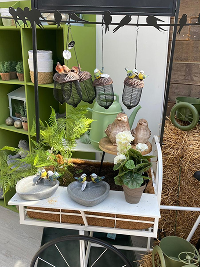 vogels-in-tuin-tuingroen-stadskanaal-tuinccentrum-noorden-15