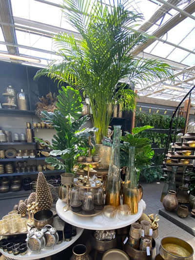 woonaccessoires-afdeling-tuingroen-stadskanaal-tuincetrum-3