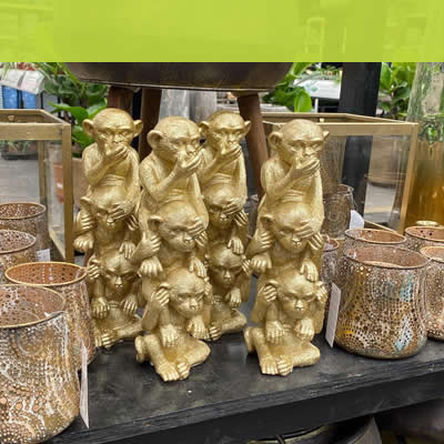 Gartencenter-Tuingroen-Stadskanaal-Wohnaccessoires – Stimmungsmacher – Atmosphäre im Zuhause