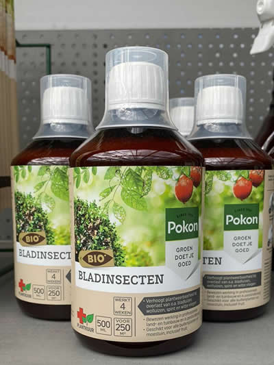 plantenverzorging-tuingroen-stadskanaal-tuincetrum-4