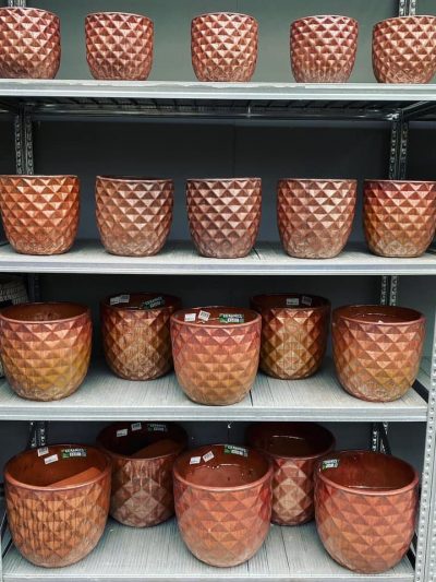 210249600_2095754537243389_8367122518635103648_n