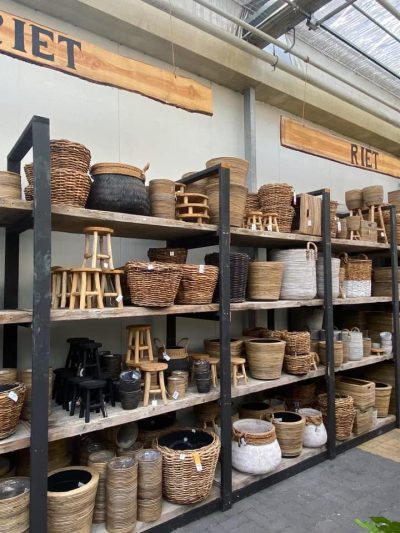 riet-afdeling-tuingroen-stadskanaal-2021-12