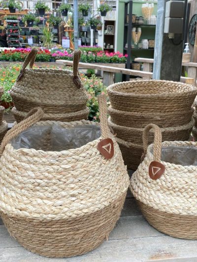 riet-afdeling-tuingroen-stadskanaal-2021-2