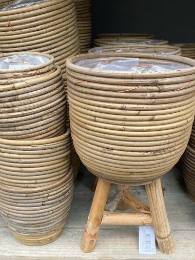 riet-afdeling-tuingroen-stadskanaal-2021-3