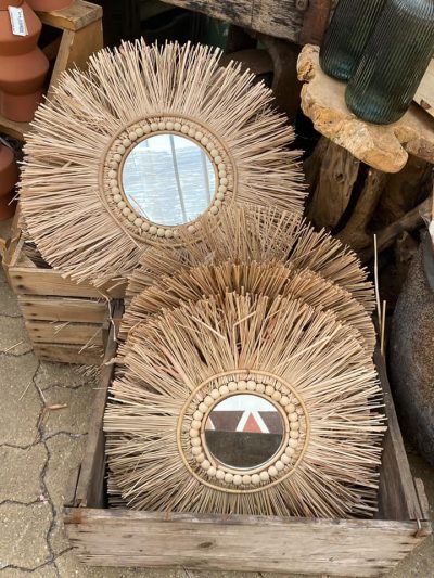 riet-afdeling-tuingroen-stadskanaal-2021-6