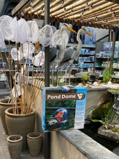 tuingroen-stadskanaal-vijverafdeling-1