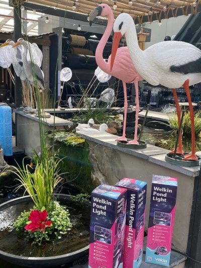 tuingroen-stadskanaal-vijverafdeling-12