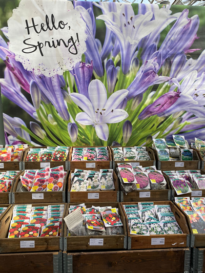 bloembollen-tuingroen-stadskanaal-tuincentrum-noorden-2022-2