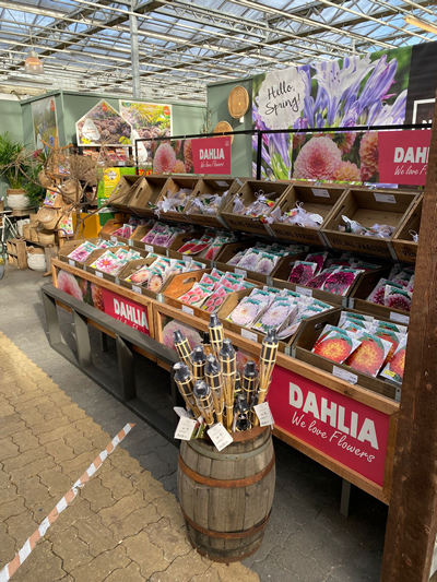 bloembollen-tuingroen-stadskanaal-tuincentrum-noorden-2022