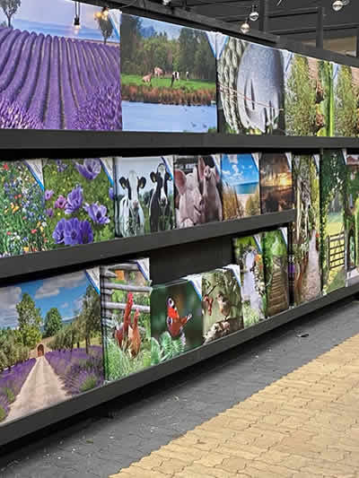 canvasdoeken-tuingroen-stadskanaal-2022-6