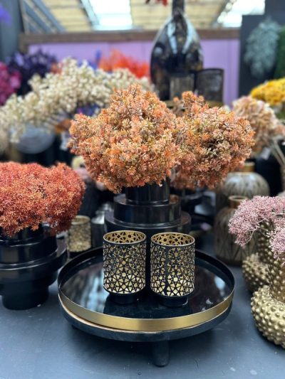 gartencenter-Gartenpflanzen-Stadtgarten-Seidenboutique-Seidenblumen