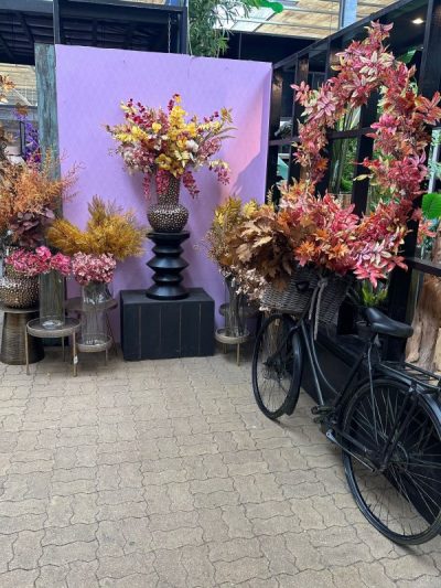 gartencenter-Gartenpflanzen-Stadtgarten-Seidenboutique-Seidenblumen